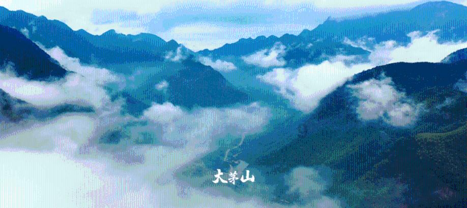 创作猫