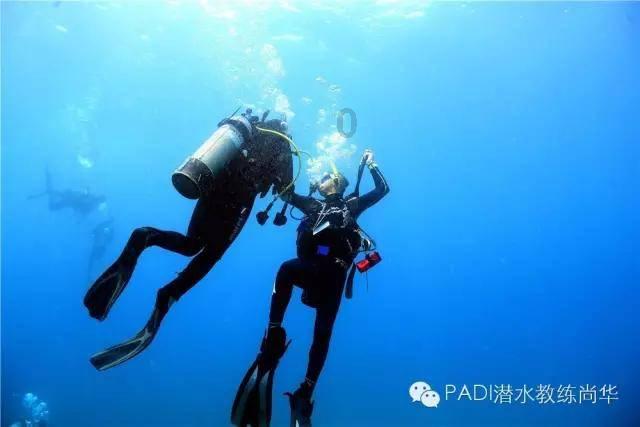 妙鸭相机app下载官网