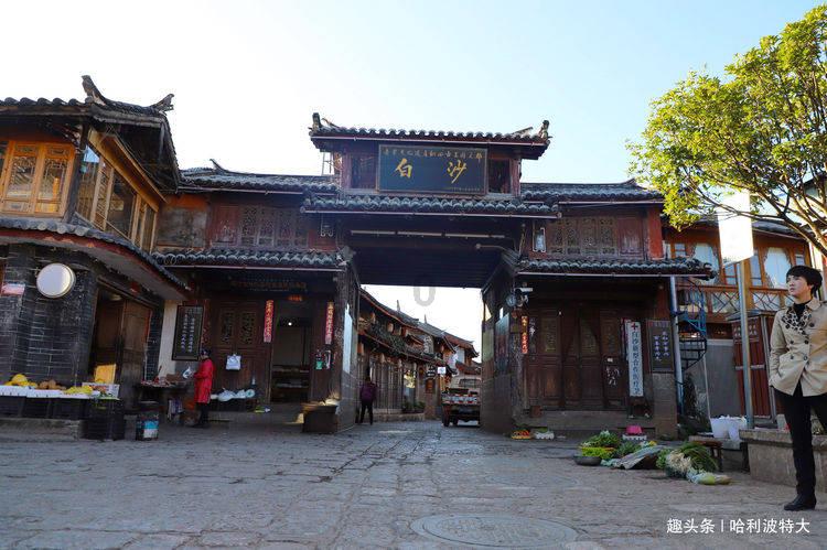 虫虫助手下载